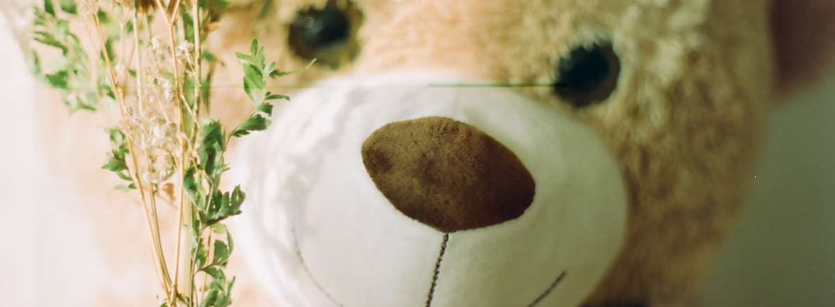 Story of BearOne